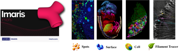 IMARIS图像处理工作站