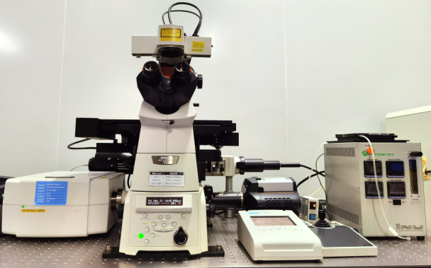 尼康超高分辨率共聚焦显微镜成像系统